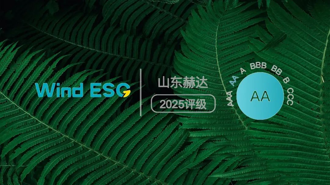 Head Group received the 2025 Wind ESG "AA" rating!